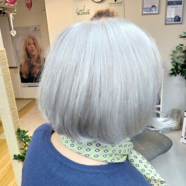 Lähdettiin tekemään omaan väriin päin,mutta ei saanut tulla liian tummaksi. Eli muutama raidat greylilac ja loput silver💎#schwarkopfsilverwhites #harmaathiukset #värjäyksetjyväskylä #kampaamokuokkala #schwarzkopfpro